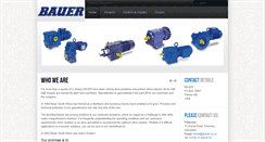 Desktop Screenshot of gbauer.co.za